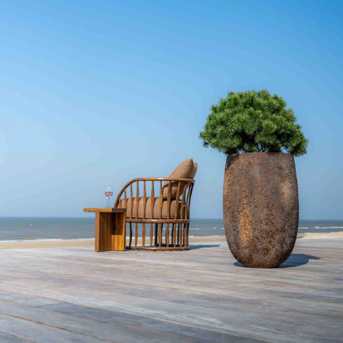 oyster-belon-l-imperial-brown6_1891320153