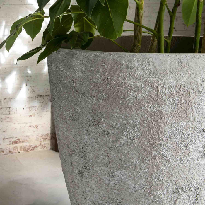 oyster-brend-imperial-white2_612791240