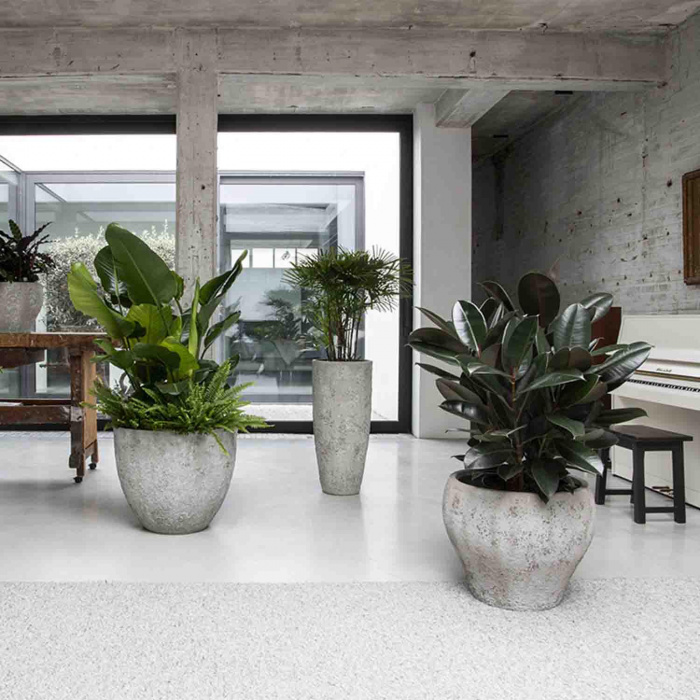 oyster-claire-imperial-white2_725536791