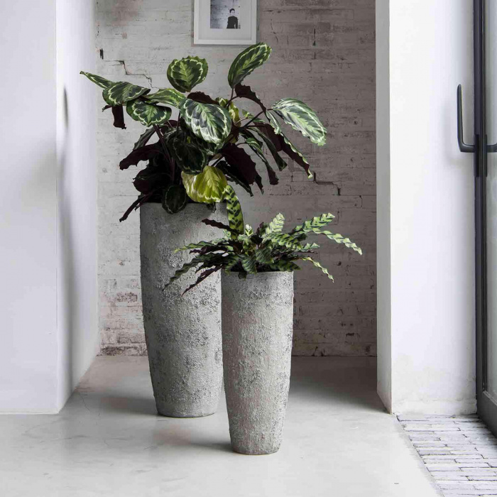 oyster-dax-imperial-white_287537898