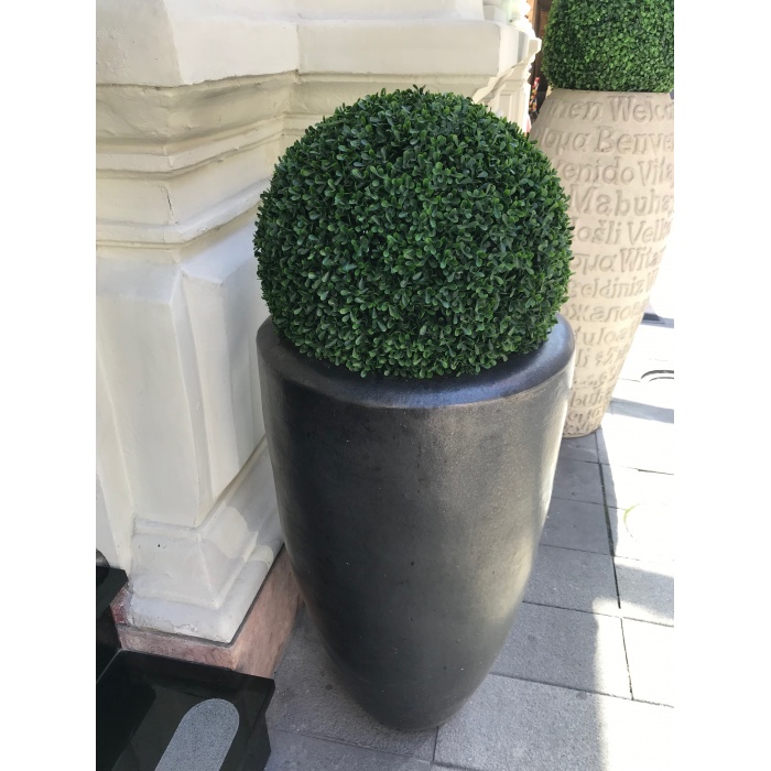 partner-delux-buxus_1411034431