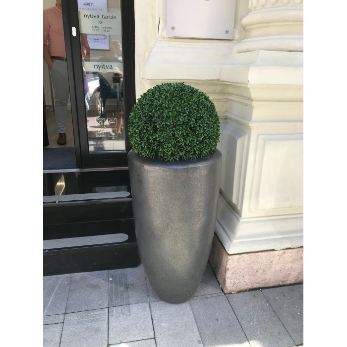 partner-delux_48cm-buxus_683862031