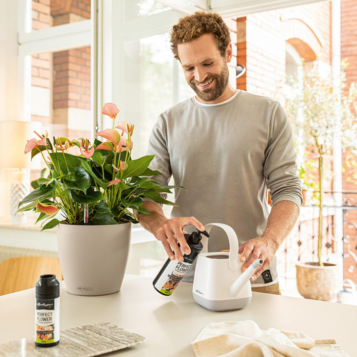 perfect_flower_fluid