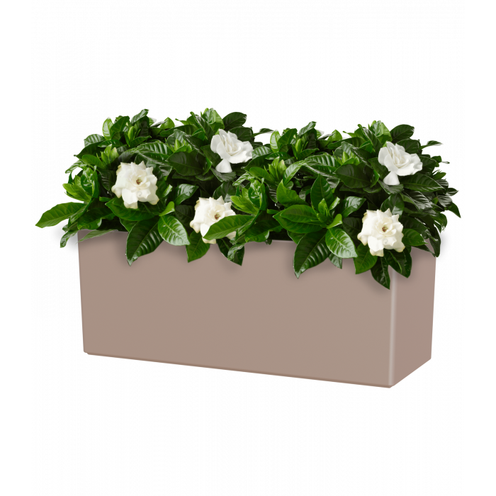 plastic-pot-recyclable-plant-box-brown-plant_18564532