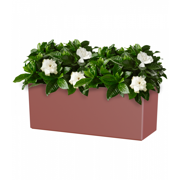 plastic-pot-recyclable-plant-box-red-plant_1310381969