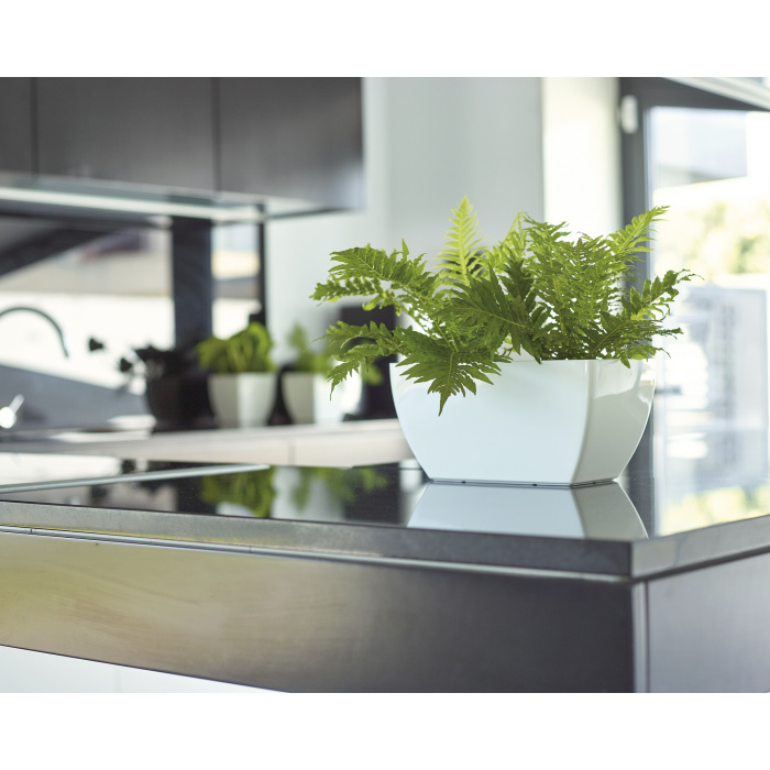 plastic-pot-recyclable-plantbox-white-indoor_264430725