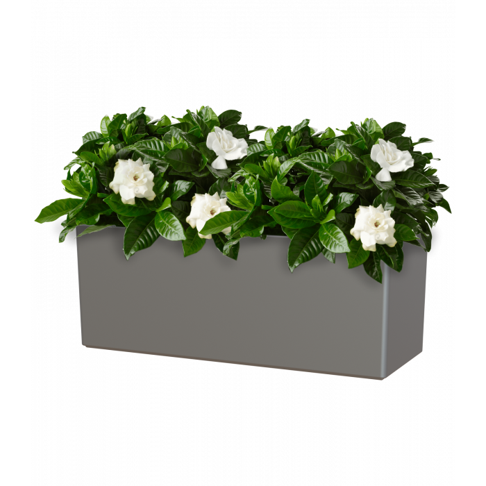 plastic-pot-recyclable-planter-anthracite-plant-4
