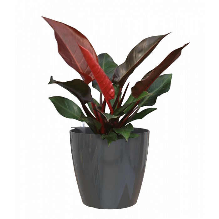plastic-pot-recyclable-planter-glossy-indoor-anthracite-plant-1_2071802542