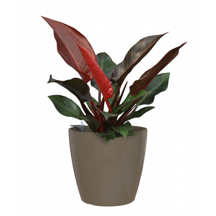 plastic-pot-recyclable-planter-glossy-indoor-taupe-plant_361414590