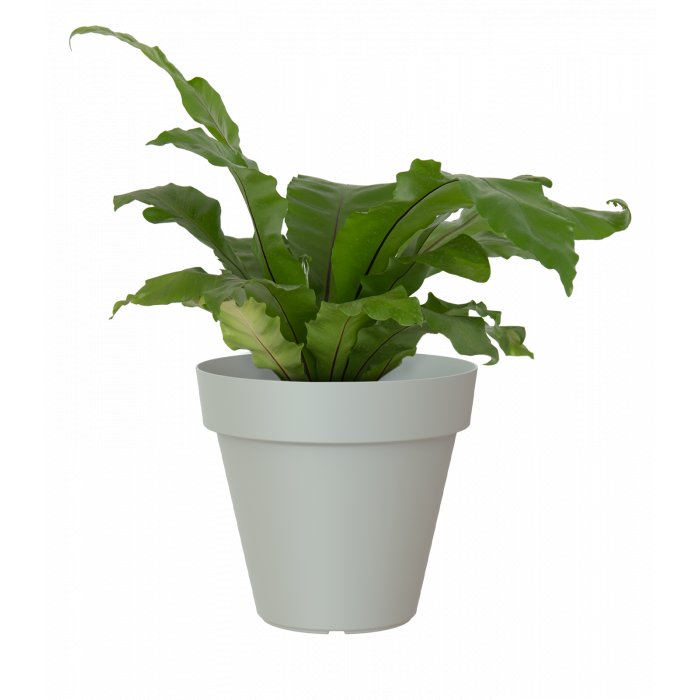 plastic-pot-recyclable-planter-grey-plant_44677780