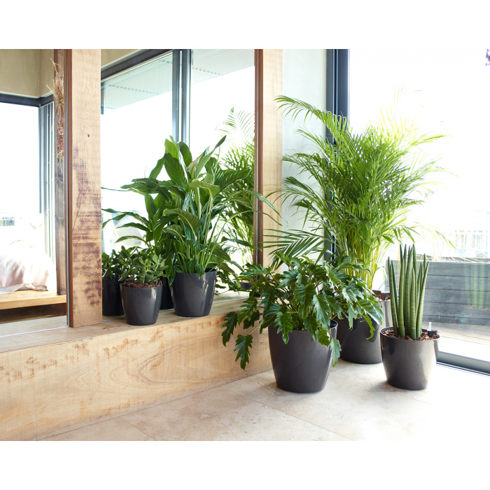 plastic-pot-recyclable-planter-self-watering-anthracite2-1