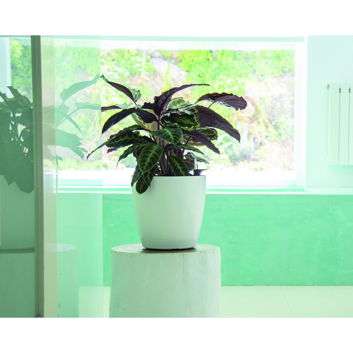 plastic-pot-recyclable-planter-self-watering-white_1262867565