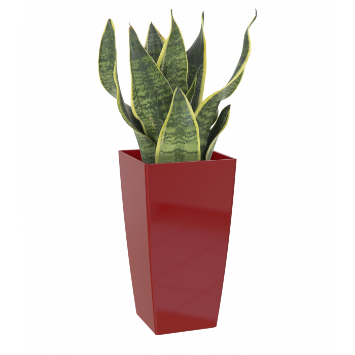 plastic-pot-recyclable-planter-tall-dark-red-plant_1208332617