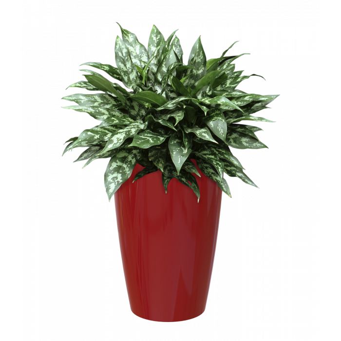 plastic-pot-recyclable-planter-tall-red-plant_1508928139