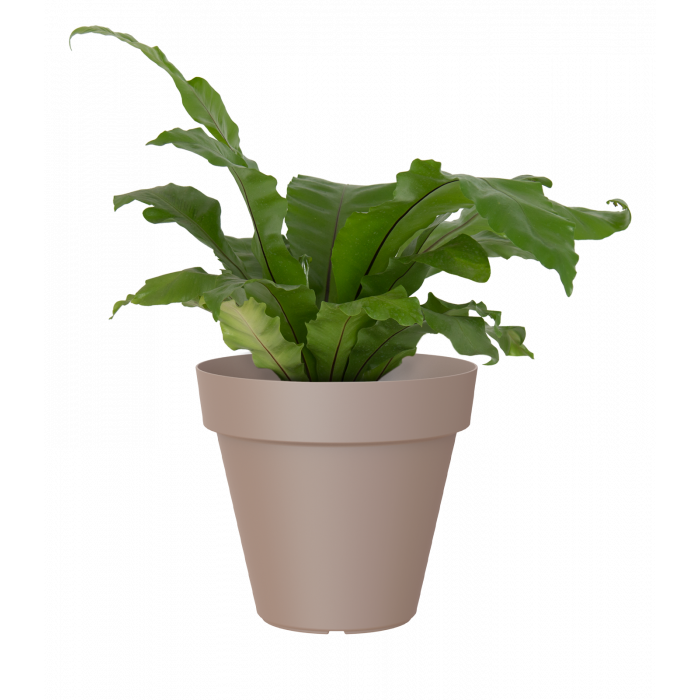 plastic-pot-recyclable-planter-taupe-plant_1492874781