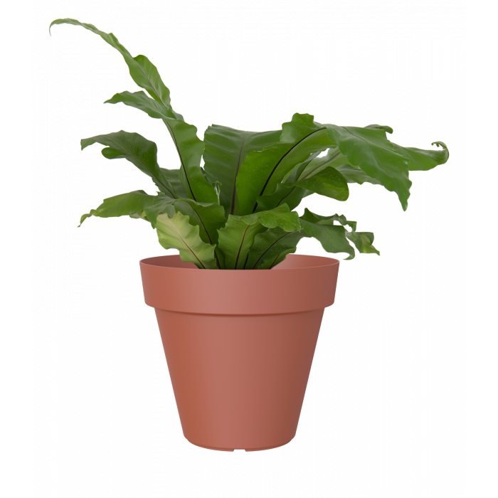 plastic-pot-recyclable-planter-terracotta-plant_1686265451