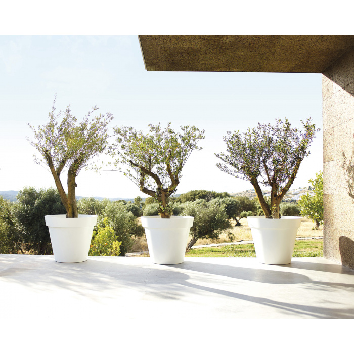 plastic-pot-recyclable-recycled-big-tree-white_899673695