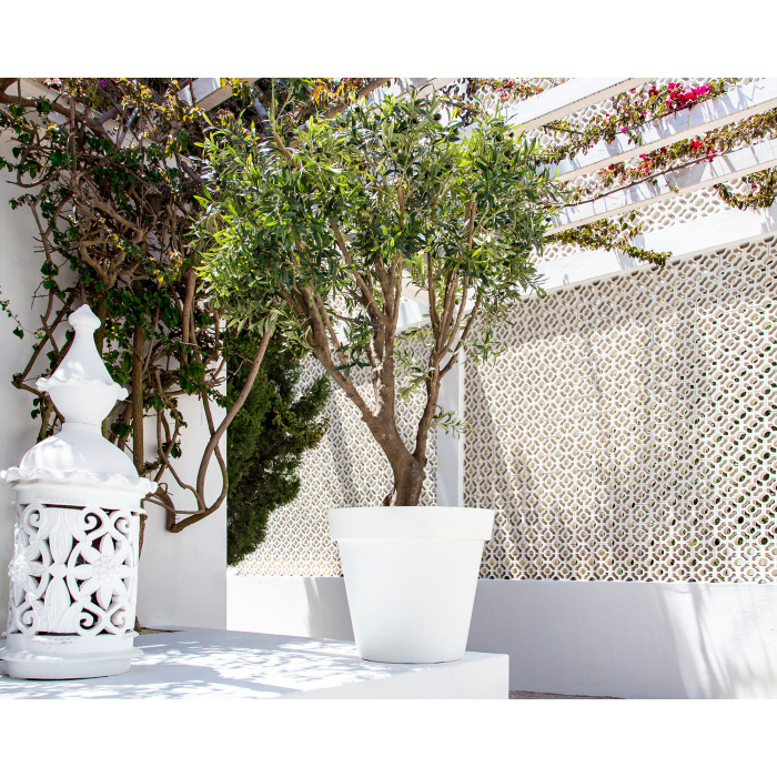 plastic-pot-recyclable-recycled-big-tree2_169391255