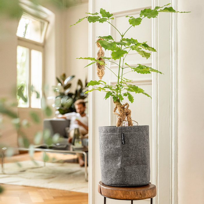 trendcover_23_felt_dark_grey_1275676310