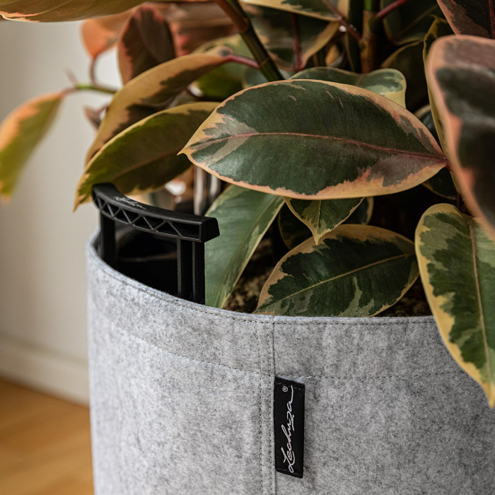 trendcover_32_felt_light_grey2_1909856092