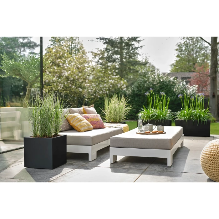 vivo-black10_1692710784