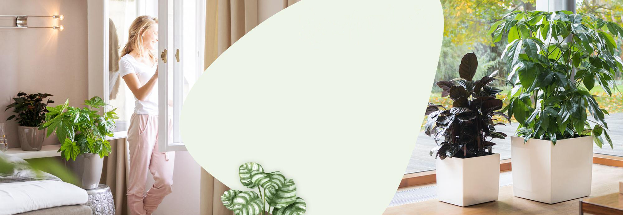 Lechuza kaspók - For Garden